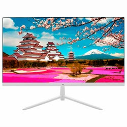 Monitor Mtek MS22SFV100P VA 22" Full HD 100Hz - Blanco