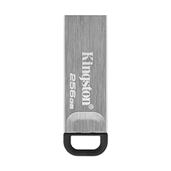Pendrive Kingston 256GB USB 3.2 - Plata (DTKN/256GB)