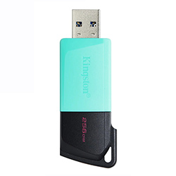 Pendrive Kingston Exodia 256GB USB 3.2 - Negro / Verde (DTXM/256GB)