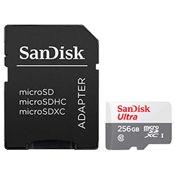Tarjeta de Memoria Micro SD SanDisk Ultra 256GB Class 10 - SDSQUNR-256G-GN6TA